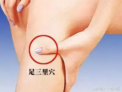咬_咬_咬