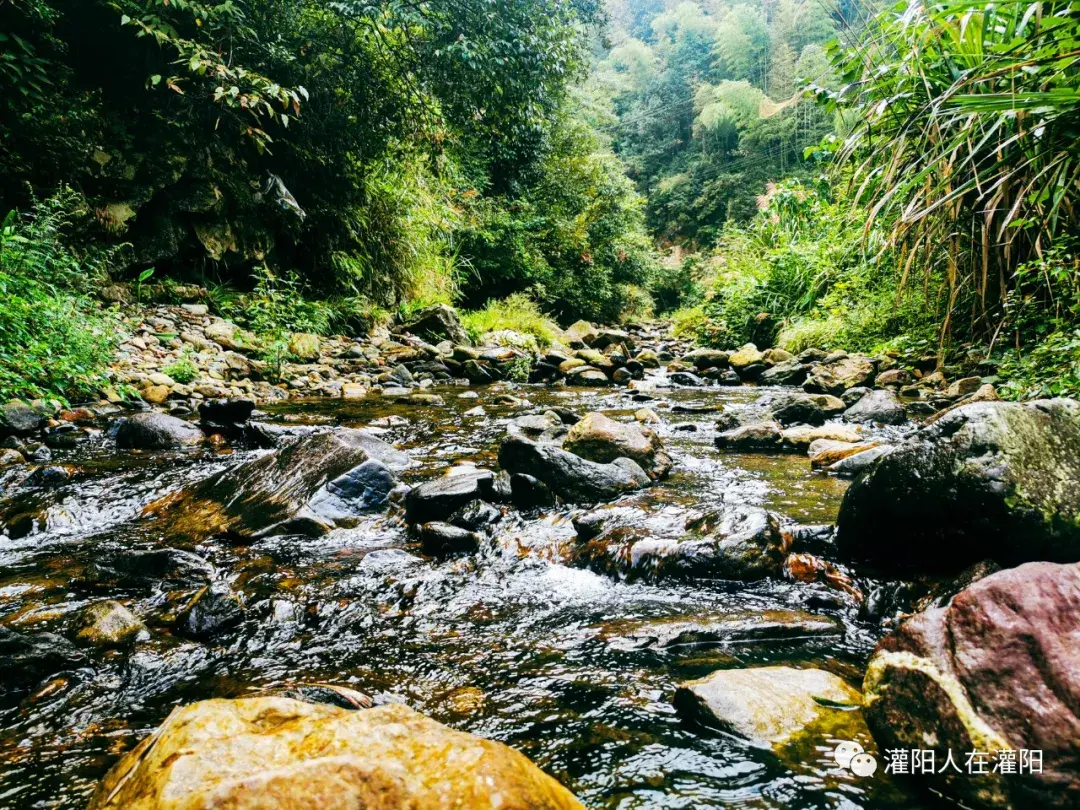 云南墨江双胞胎_墨江新闻_墨江