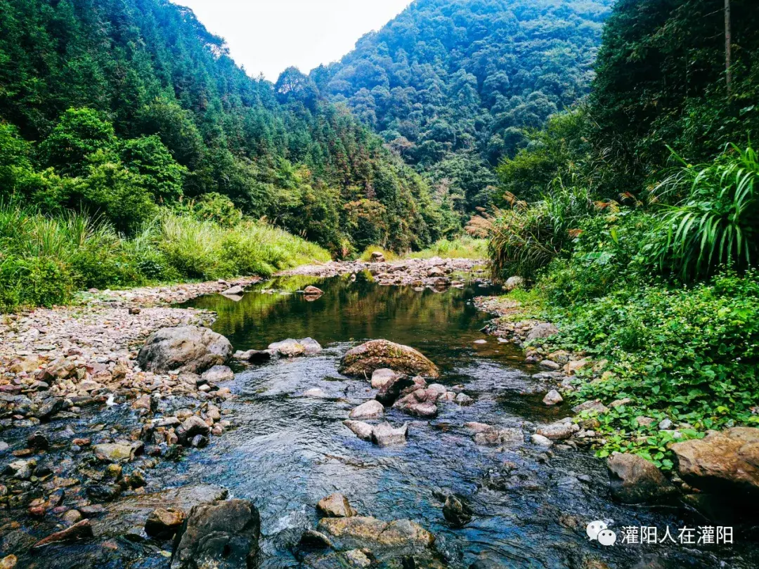 墨江新闻_墨江_云南墨江双胞胎