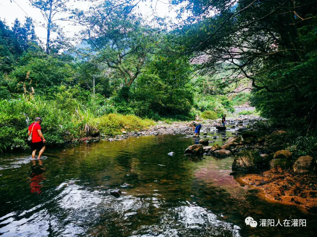 墨江新闻_墨江_云南墨江双胞胎