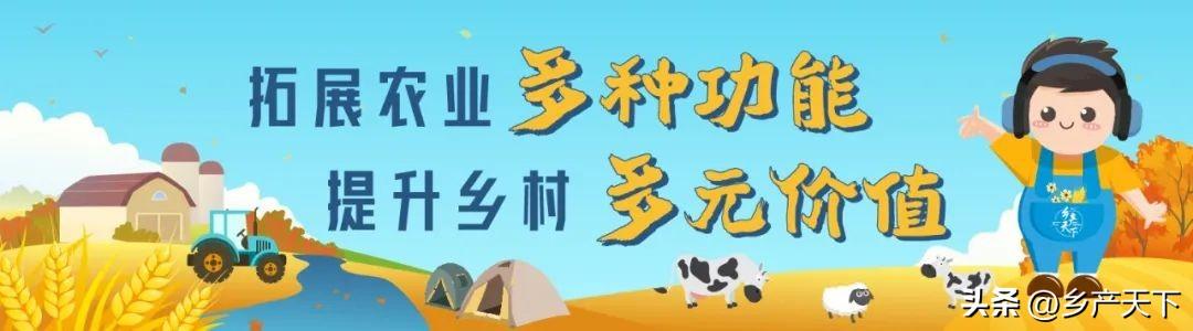 启_启辰_启组词