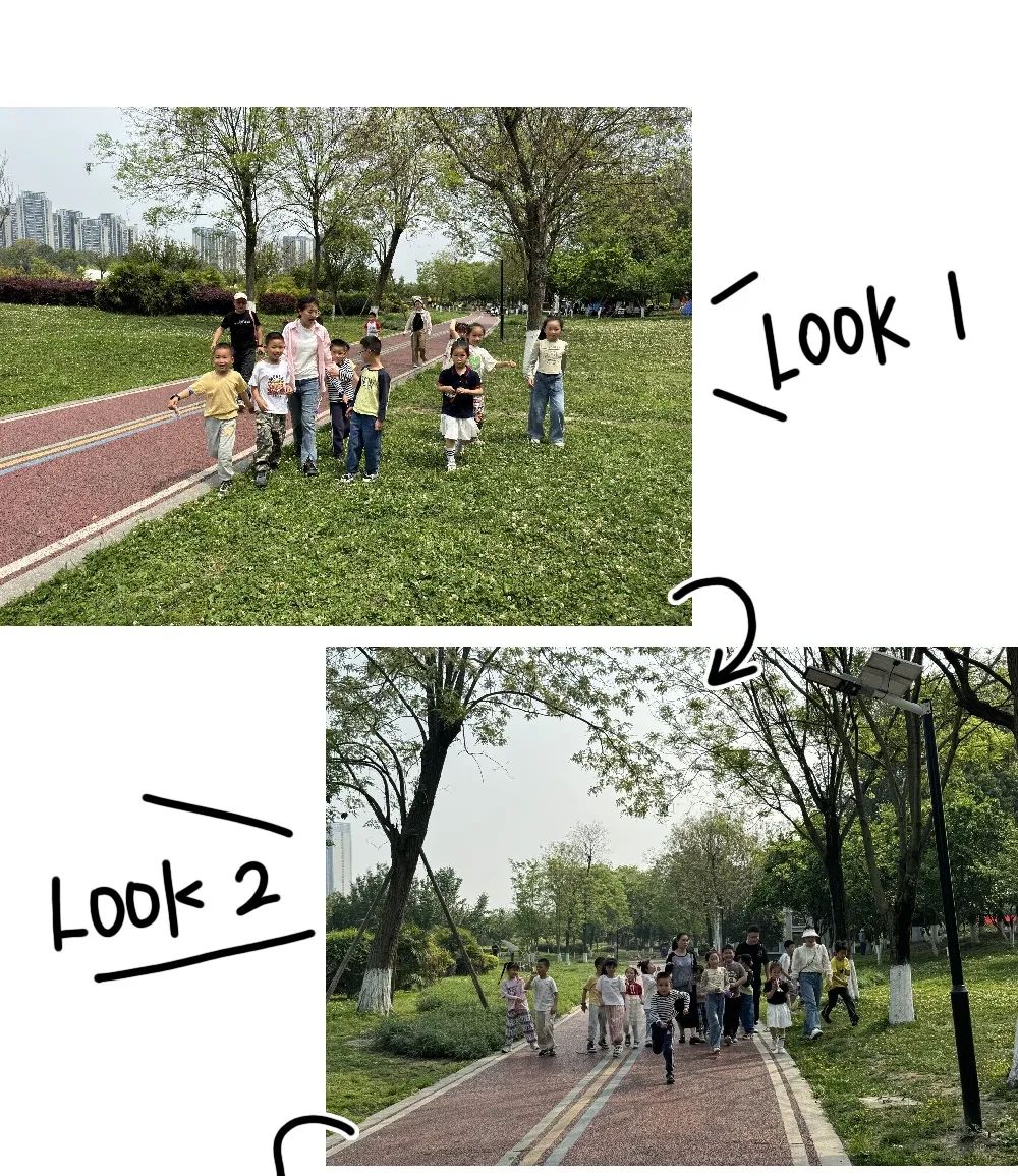 蔓楼兰_蔓_蔓陀萝