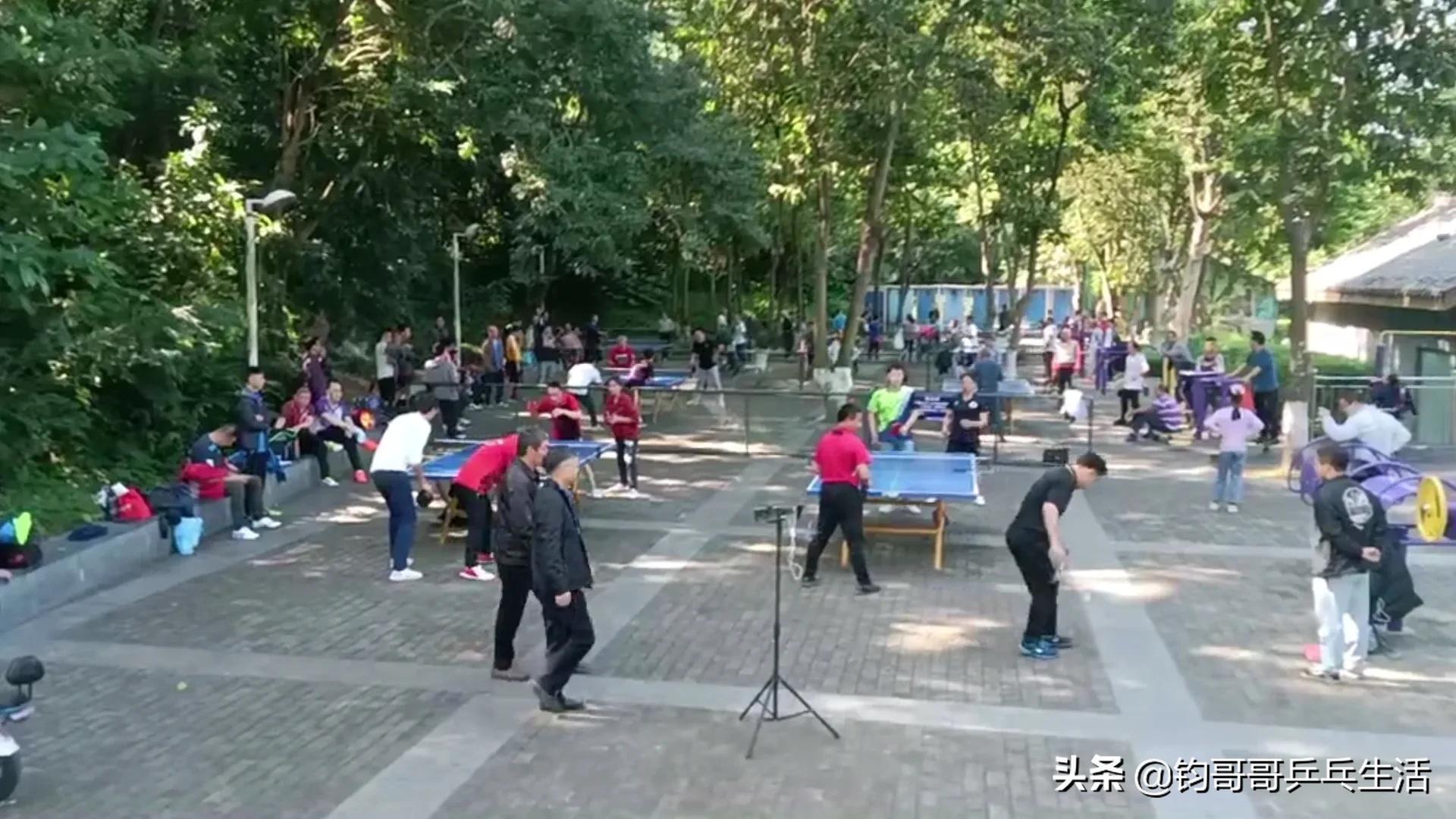 旗峰山海拔高度多少米_旗峰山_旗峰山寺庙开放时间