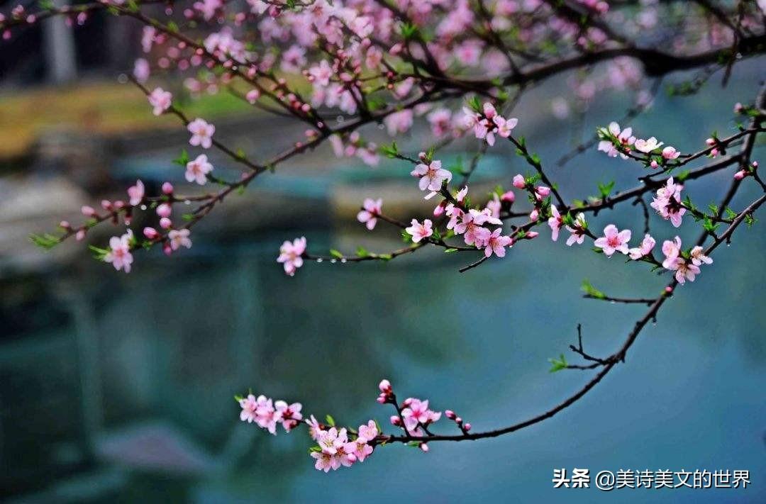 信手拈来的拈怎么念_信手拈来咋读_信手拈来