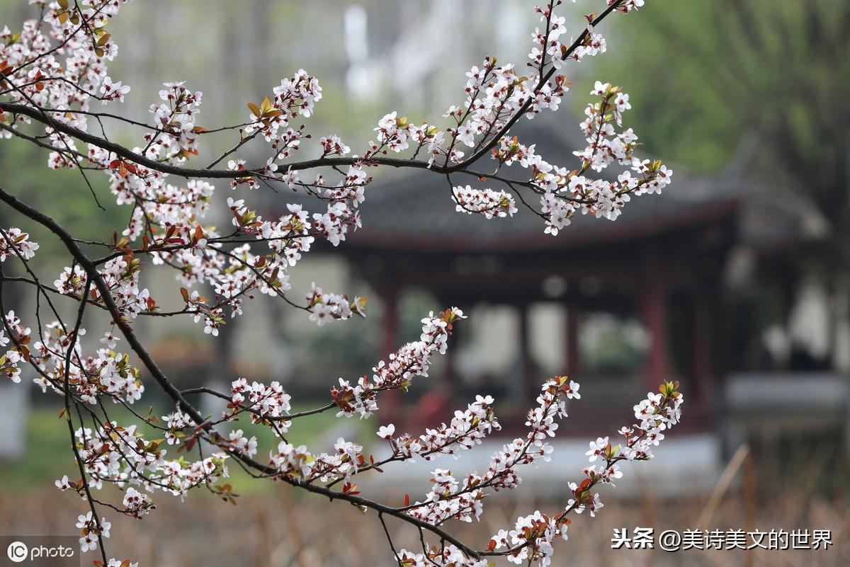 信手拈来_信手拈来咋读_信手拈来的拈怎么念