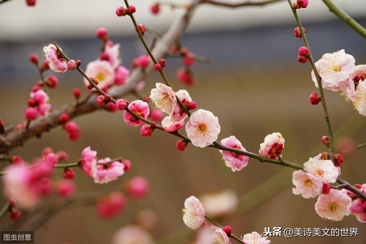 信手拈来_信手拈来咋读_信手拈来的拈怎么念