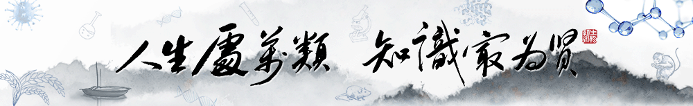 shattering怎么读_shattering_shattering翻译