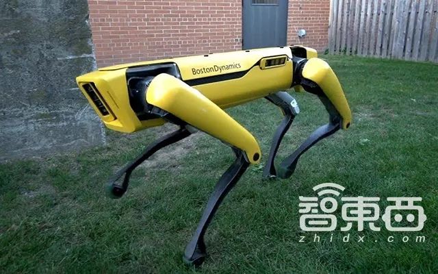 上蹿下跳_跳上蹿下的意思_上蹿下跳的跳