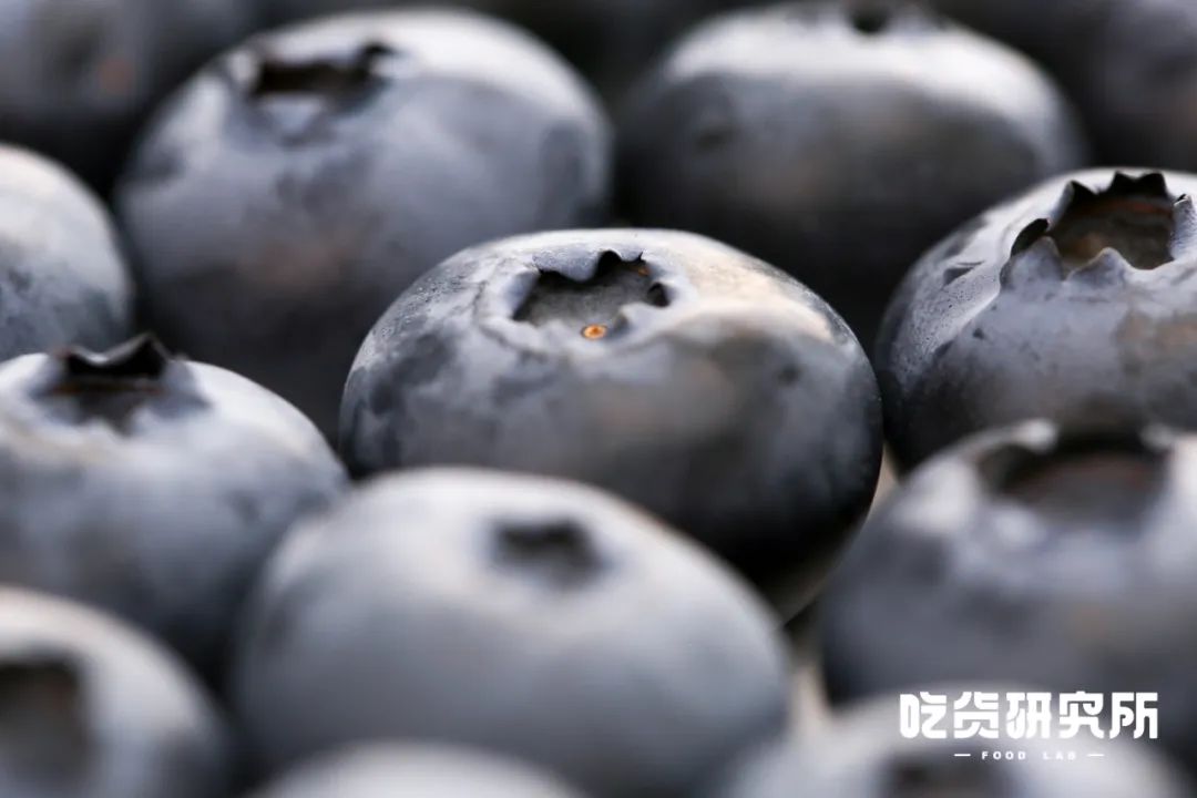 上跳下蹿是不是成语_跳上窜下_上蹿下跳