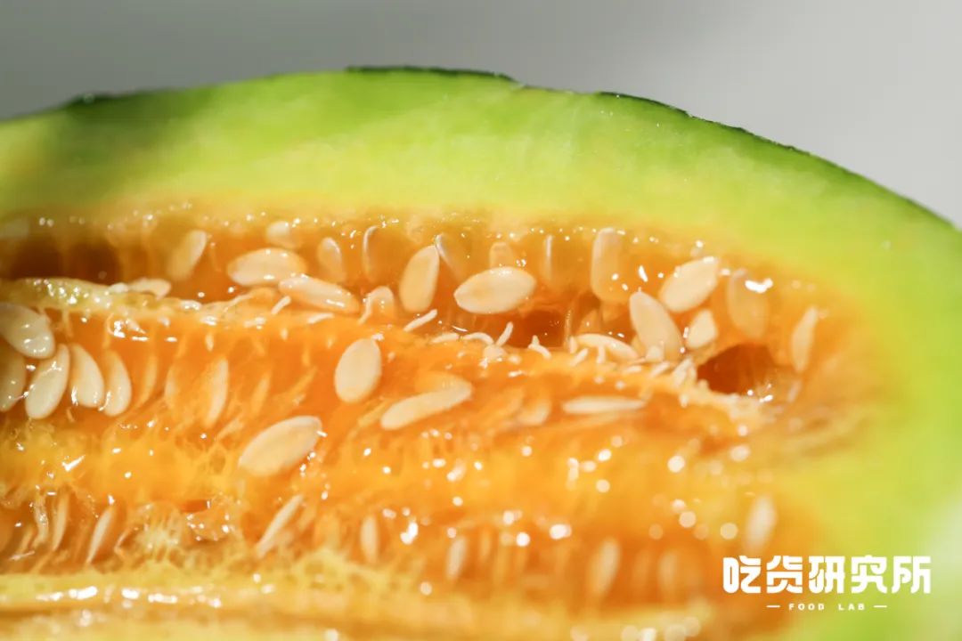 跳上窜下_上跳下蹿是不是成语_上蹿下跳