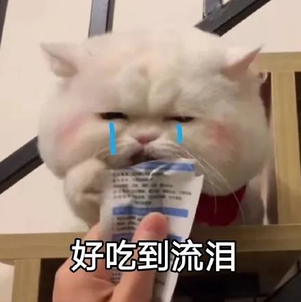 上跳下蹿是不是成语_上蹿下跳_跳上窜下