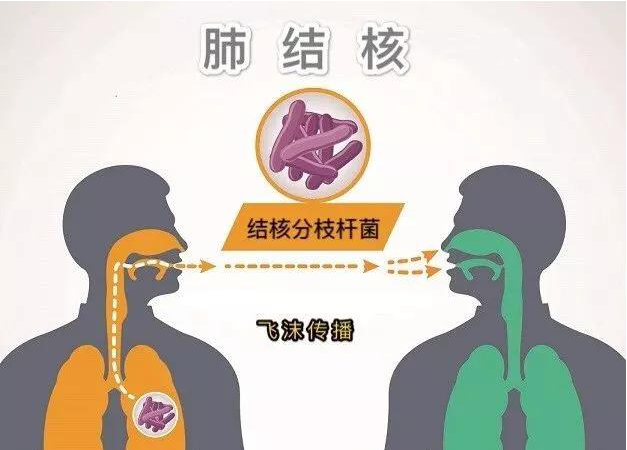 共同努力_共同努力的高级表达_共同努力的成语