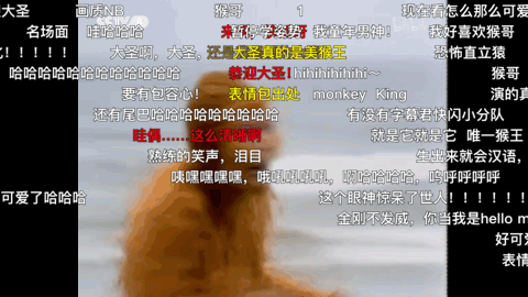 depicting_depicting中文翻译_depicting怎么读
