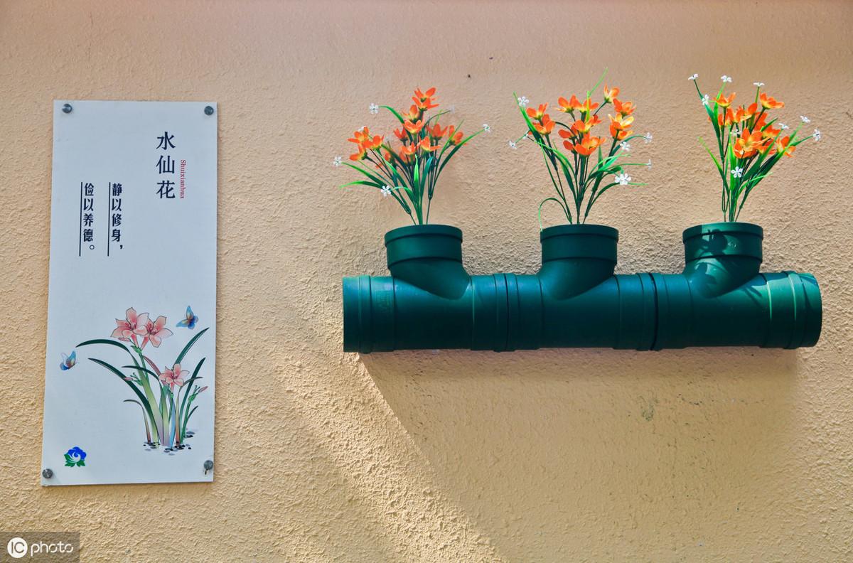 develops_developed_develop是延续性动词吗