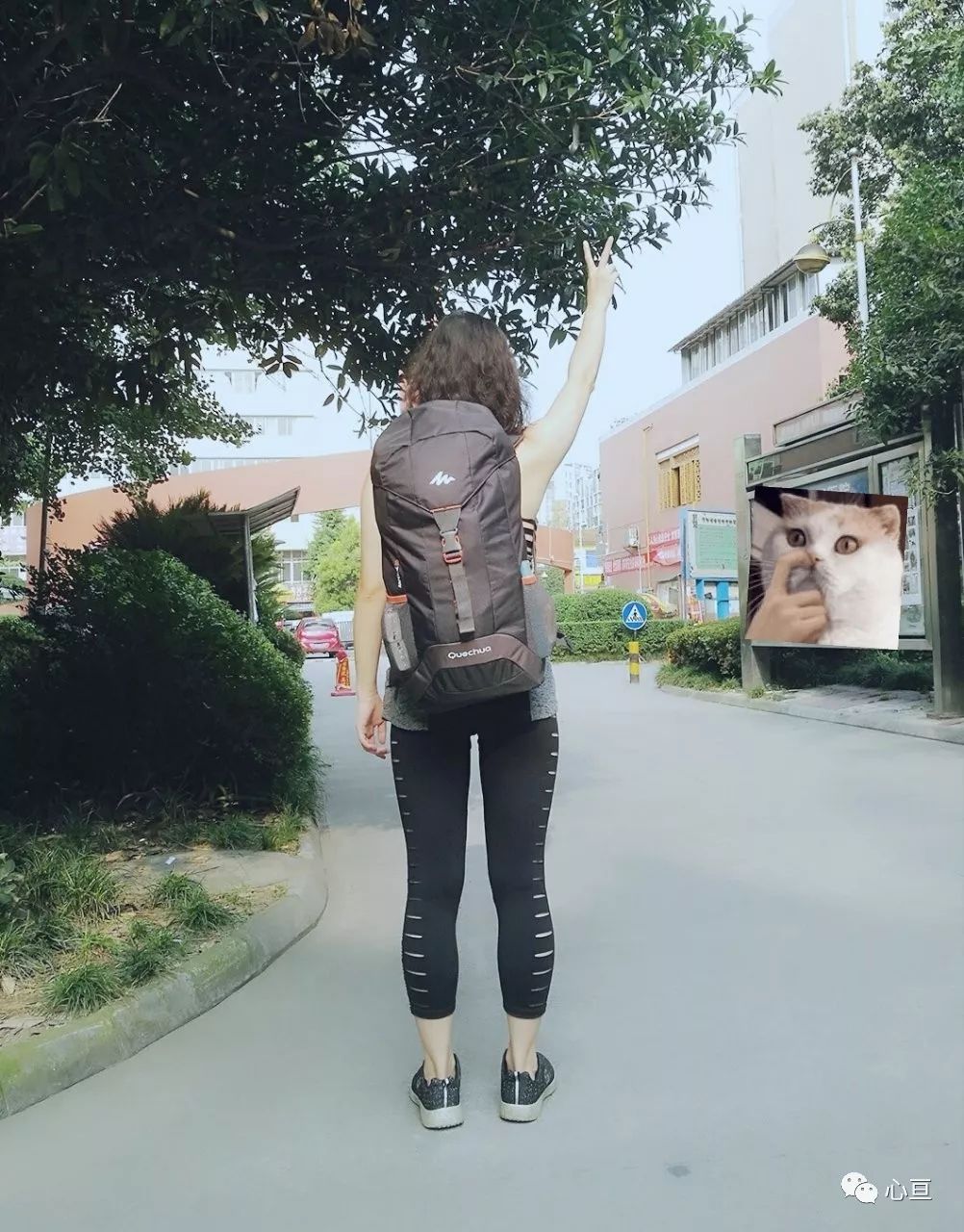 赵公山景区简介_赵公山_赵公山在哪里