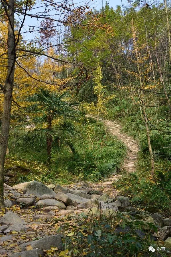 赵公山_赵公山在哪里_赵公山景区简介