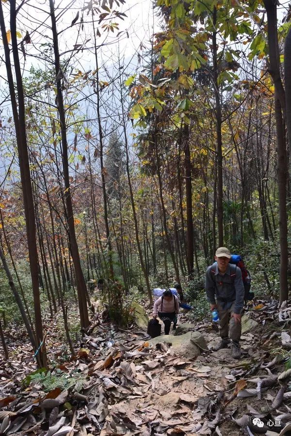赵公山_赵公山在哪里_赵公山景区简介