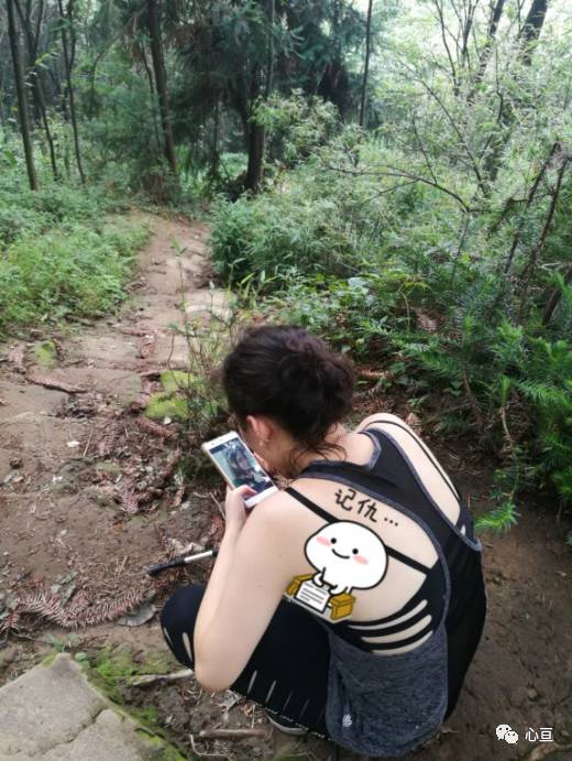赵公山景区简介_赵公山在哪里_赵公山