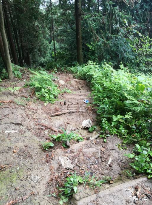 赵公山景区简介_赵公山_赵公山在哪里