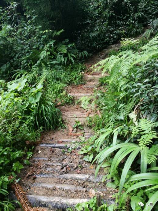 赵公山景区简介_赵公山_赵公山在哪里