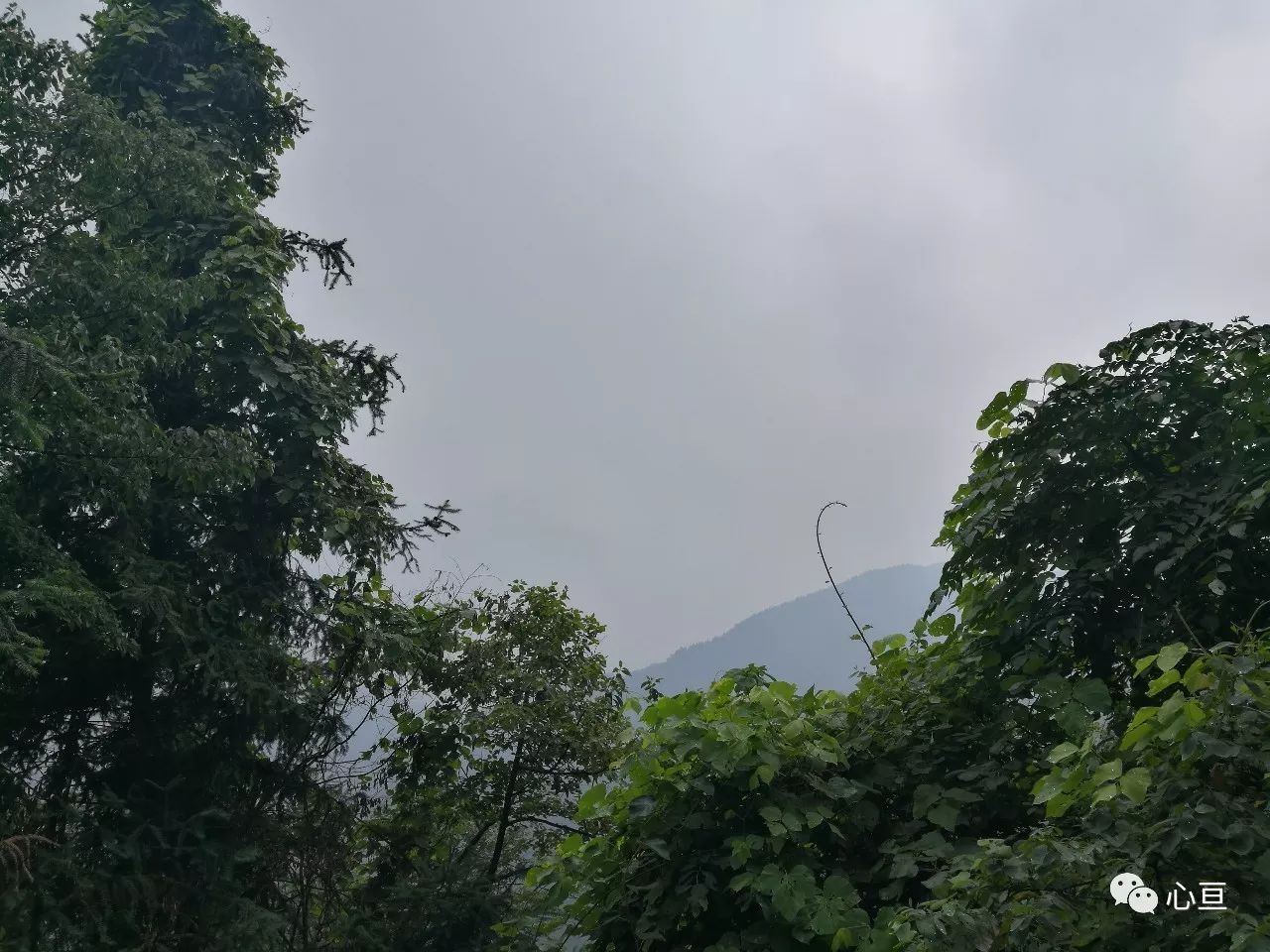 赵公山_赵公山景区简介_赵公山在哪里