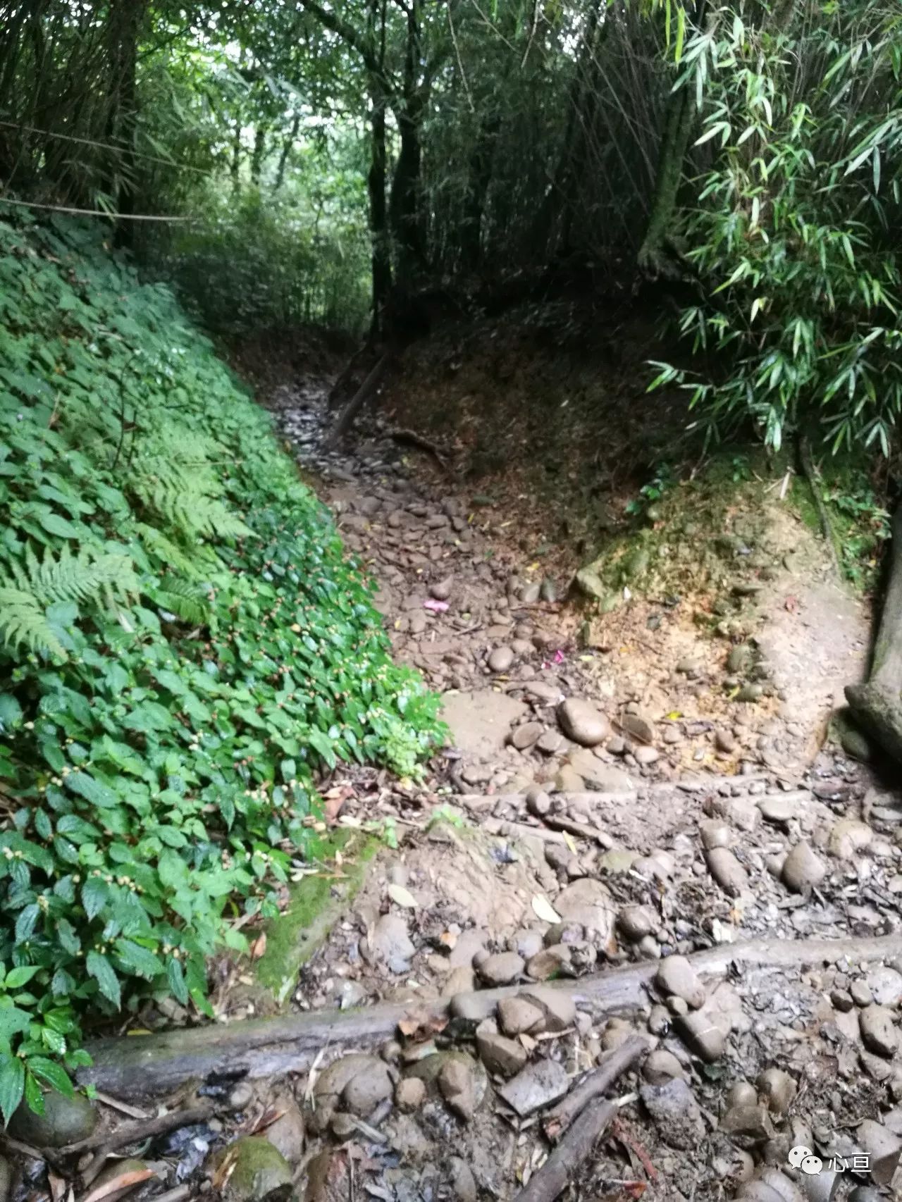 赵公山_赵公山在哪里_赵公山景区简介