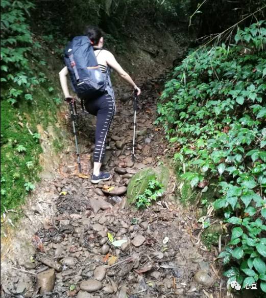 赵公山景区简介_赵公山在哪里_赵公山