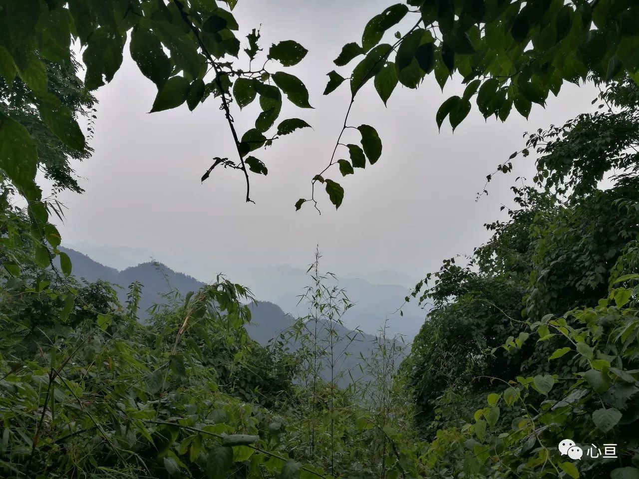赵公山_赵公山在哪里_赵公山景区简介