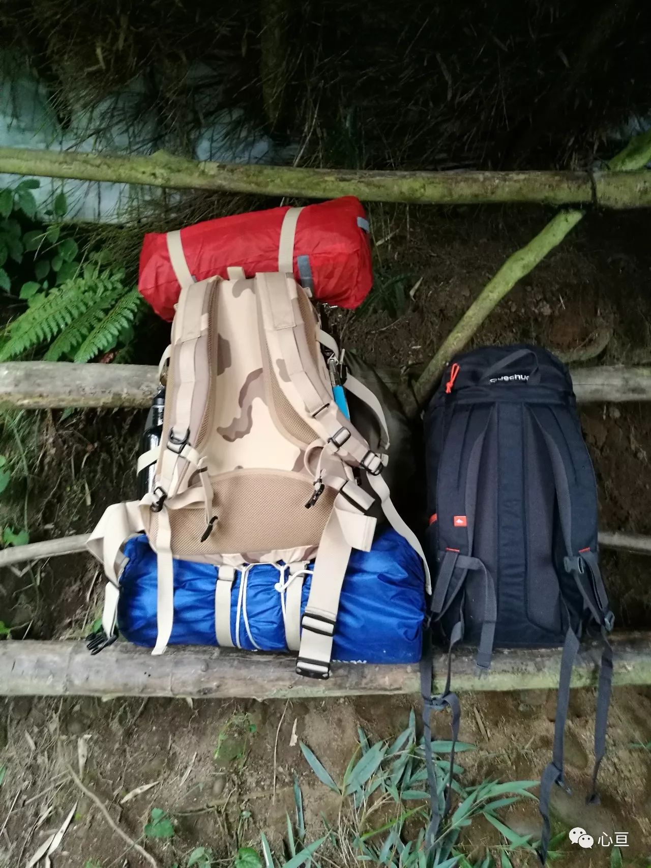 赵公山_赵公山在哪里_赵公山景区简介