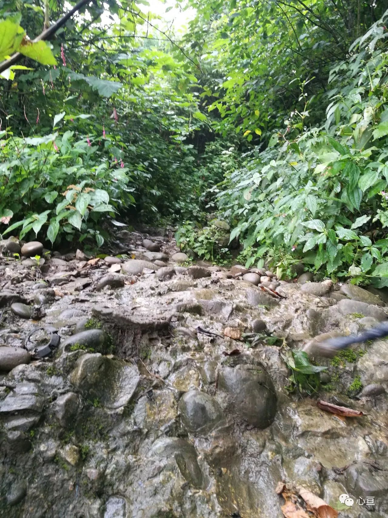 赵公山_赵公山在哪里_赵公山景区简介