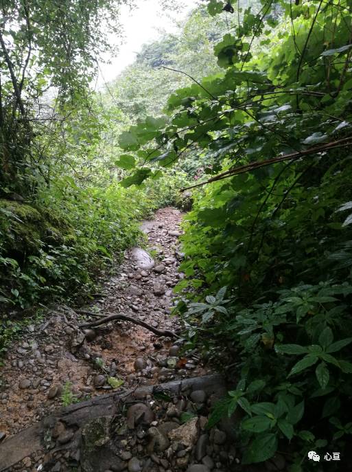 赵公山_赵公山在哪里_赵公山景区简介