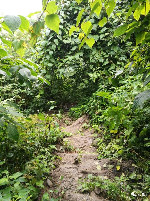 赵公山在哪里_赵公山景区简介_赵公山