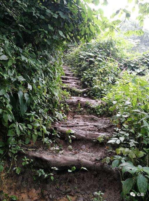 赵公山_赵公山景区简介_赵公山在哪里
