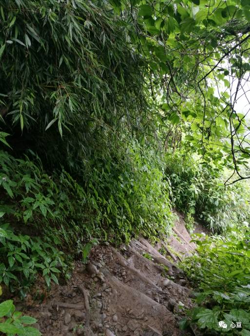 赵公山景区简介_赵公山在哪里_赵公山