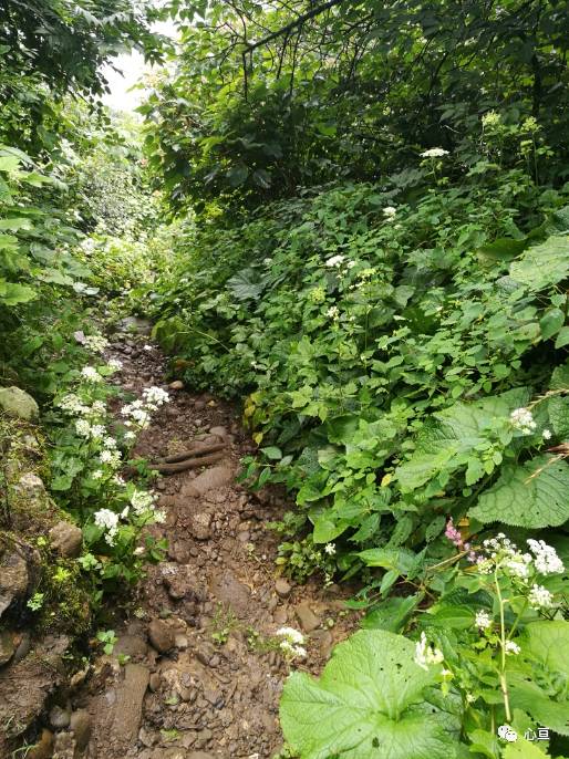 赵公山在哪里_赵公山景区简介_赵公山