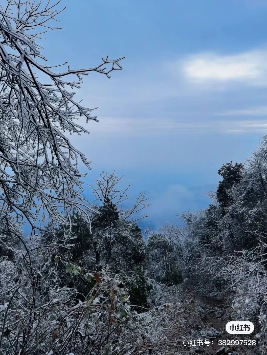 赵公山景区简介_赵公山天气_赵公山