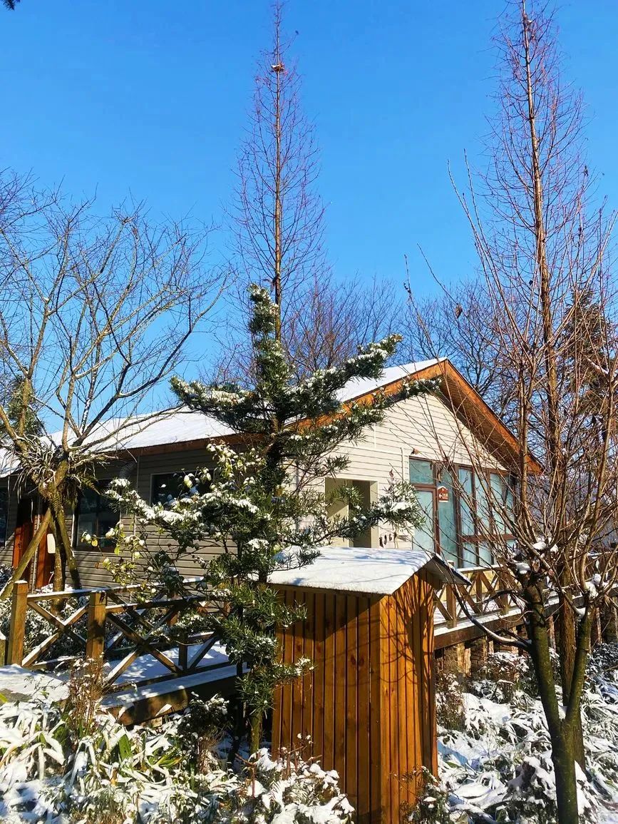 赵公山景区简介_赵公山_赵公山天气