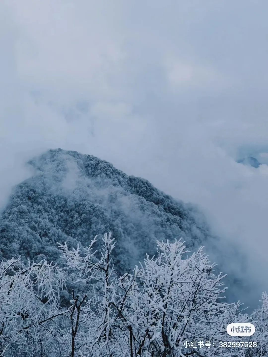 赵公山景区简介_赵公山天气_赵公山