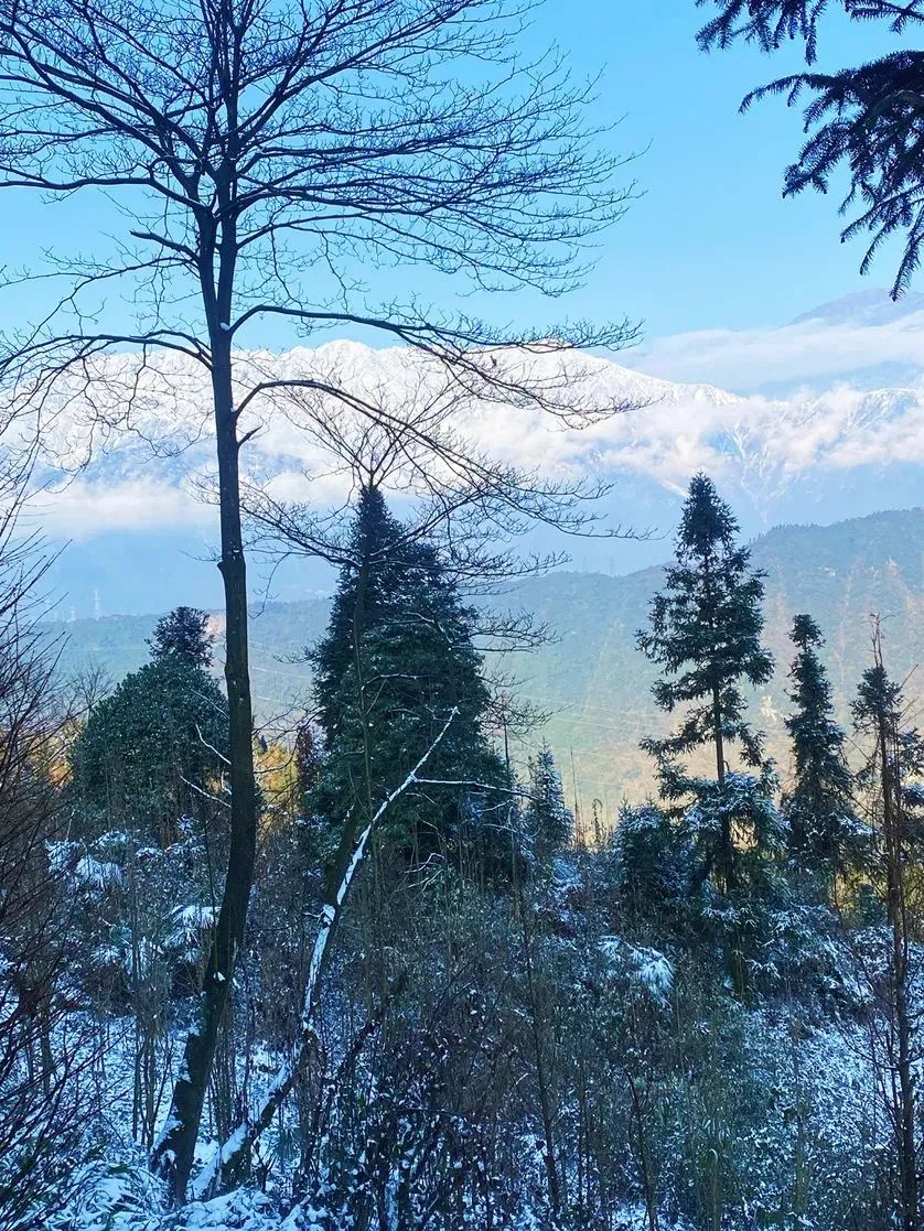 赵公山天气_赵公山_赵公山景区简介