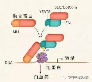 rearranged怎么读_rearranged_rearrange的意思