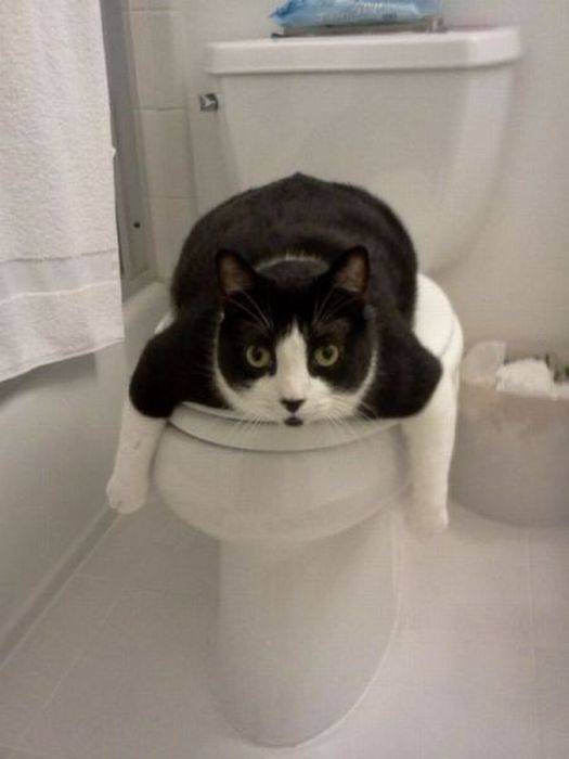 restroom怎么读_rest_restroom