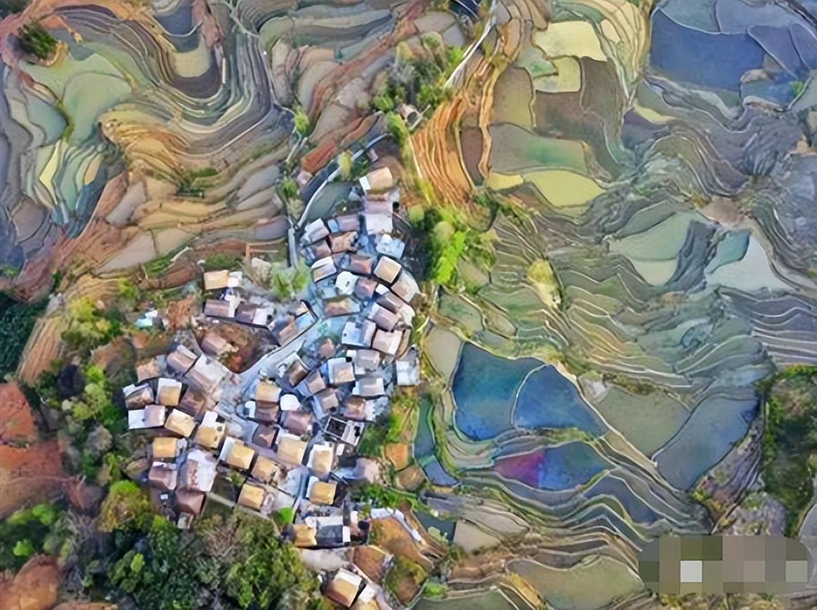 临危受命_临危受命的命什么意思_临危受命意思
