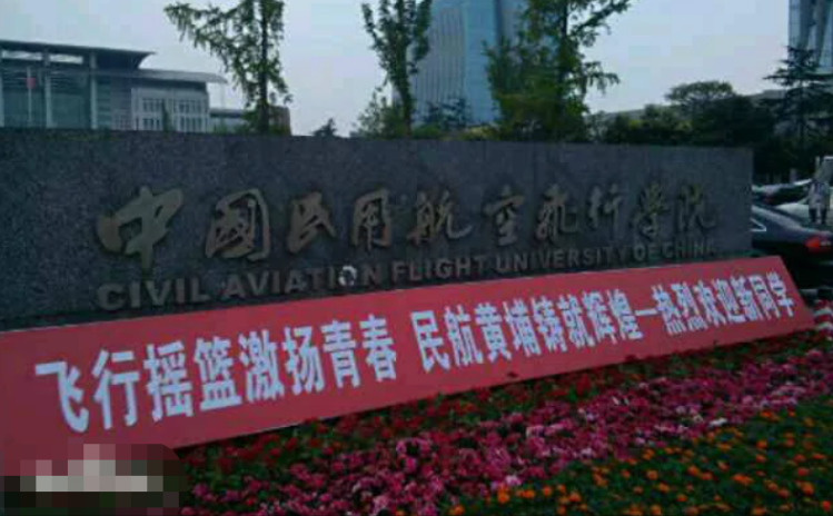 临危受命的命什么意思_临危受命意思_临危受命