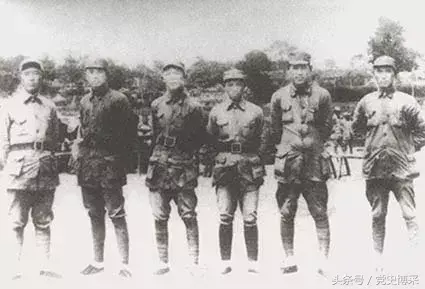 危临受命近_临危受命_临危受命的命什么意思