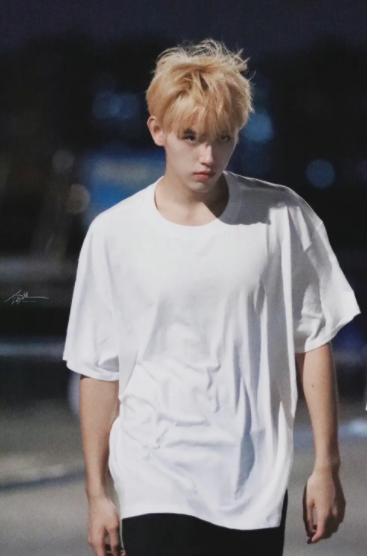 brightest_silly_brightest的翻译