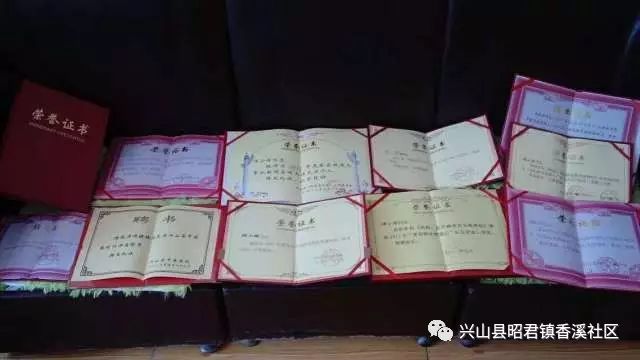 伴当_伴的组词_伴生活
