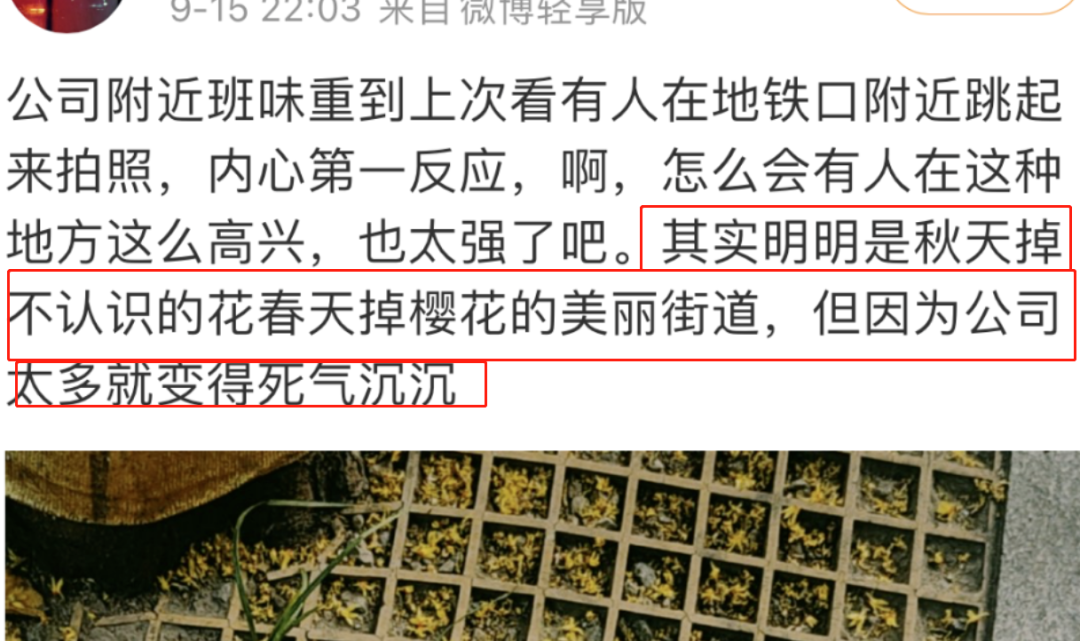 18班班徽_班超_班