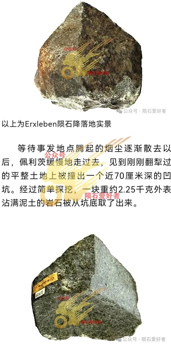 leben_leben是什么意思_leben德语