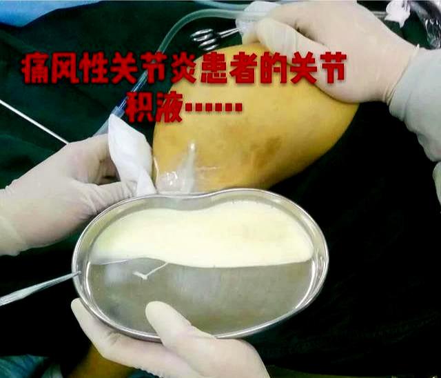 听之任之_听任之放任之_听任之之