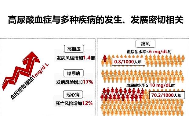 听任之之_听之任之_听任之放任之